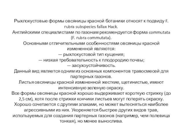 Рыхлокустовые формы овсяницы красной ботаники относят к подвиду F. rubra