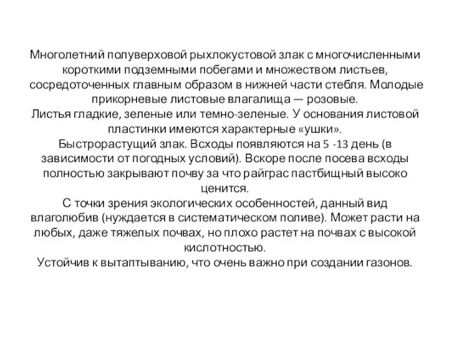 Многолетний полуверховой рыхлокустовой злак с многочисленными короткими подземными побегами и