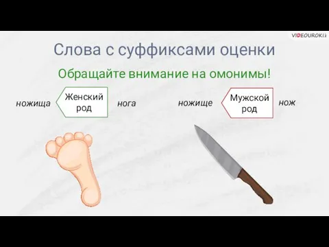 Слова с суффиксами оценки Обращайте внимание на омонимы! ножища нога Женскийрод ножище нож Мужскойрод