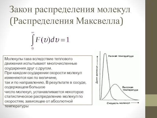 Закон распределения молекул (Распределения Максвелла) Молекулы газа вследствие теплового движения