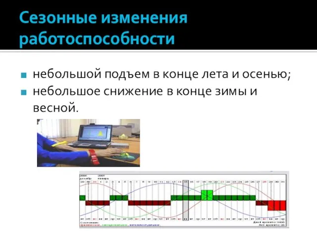 Сезонные изменения работоспособности небольшой подъем в конце лета и осенью;