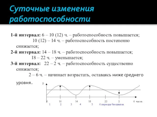 Суточные изменения работоспособности 1-й интервал: 6 – 10 (12) ч.