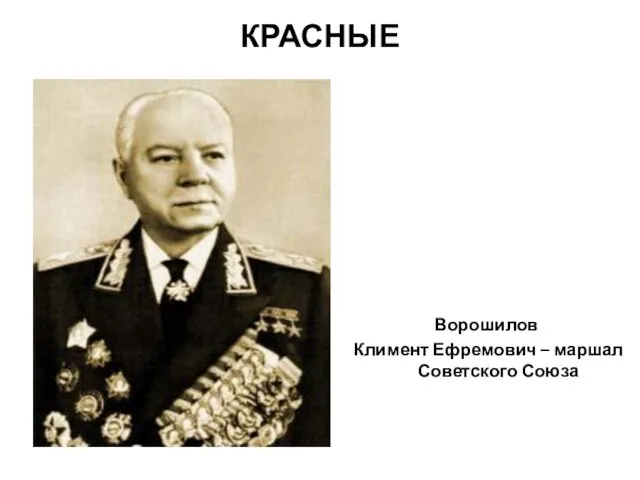КРАСНЫЕ Ворошилов Климент Ефремович – маршал Советского Союза