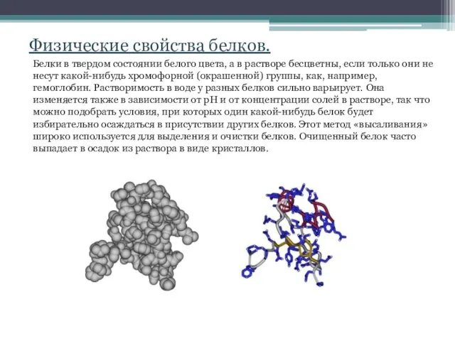 Физические свойства белков. Белки в твердом состоянии белого цвета, а