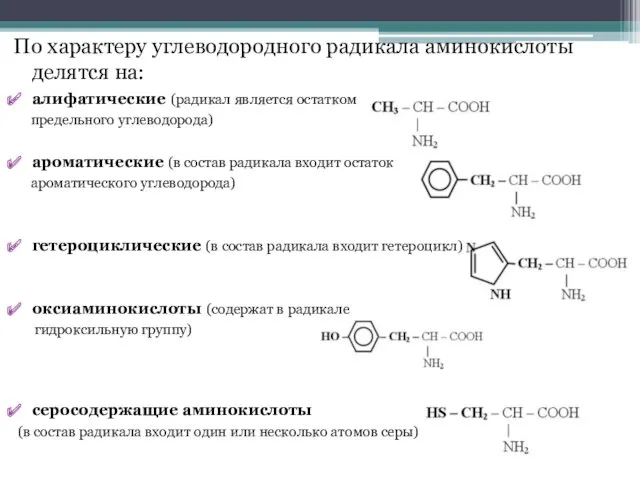 По характеру углеводородного радикала аминокислоты делятся на: алифатические (радикал является