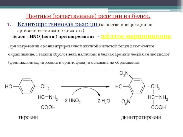 Цветные (качественные) реакции на белки. Ксантопротеиновая реакция(качественная рекция на ароматические