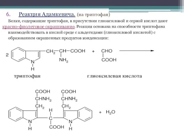 Реакция Адамкевича. (на триптофан) Белки, содержащие триптофан, в присутствии глиоксиловой