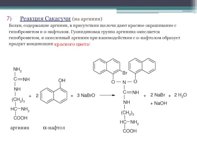 Реакция Сакагучи (на аргинин) Белки, содержащие аргинин, в присутствии щелочи