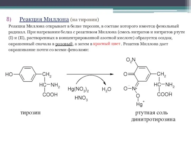 Реакция Миллона (на тирозин) Реакция Миллона открывает в белке тирозин,