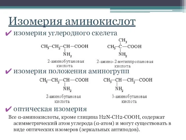 Изомерия аминокислот изомерия углеродного скелета изомерия положения аминогрупп оптическая изомерия