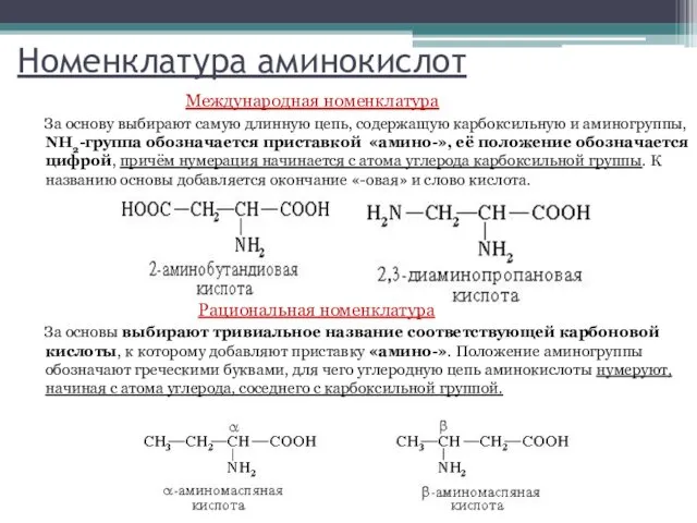 Номенклатура аминокислот Международная номенклатура За основу выбирают самую длинную цепь,