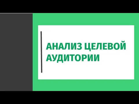 АНАЛИЗ ЦЕЛЕВОЙ АУДИТОРИИ