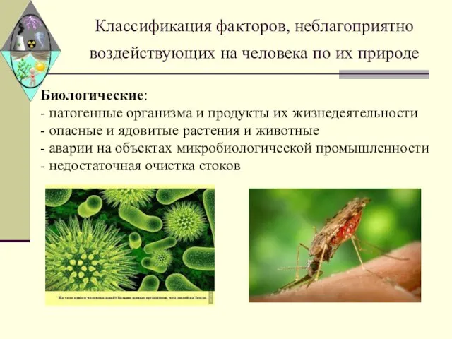 Классификация факторов, неблагоприятно воздействующих на человека по их природе Биологические: