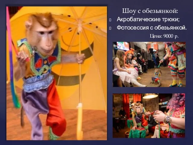 Шоу с обезьянкой: Акробатические трюки; Фотосессия с обезьянкой. Цена: 9000 р.