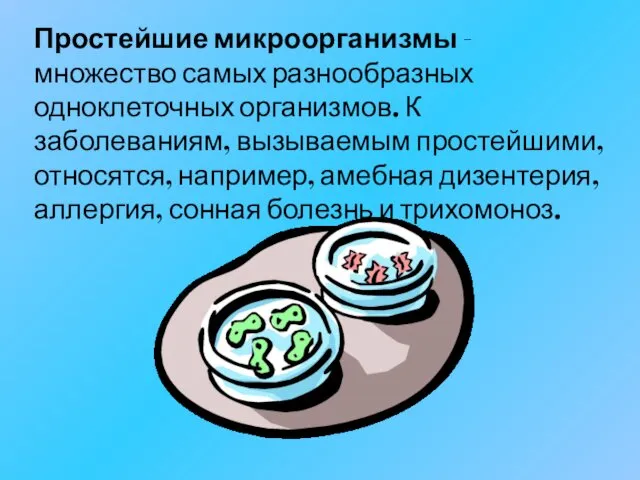 Простейшие микроорганизмы - множество самых разнообразных одноклеточных организмов. К заболеваниям,