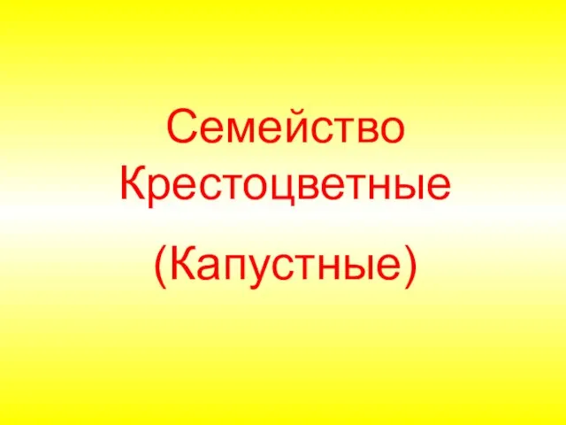 Семейство Крестоцветные (Капустные)