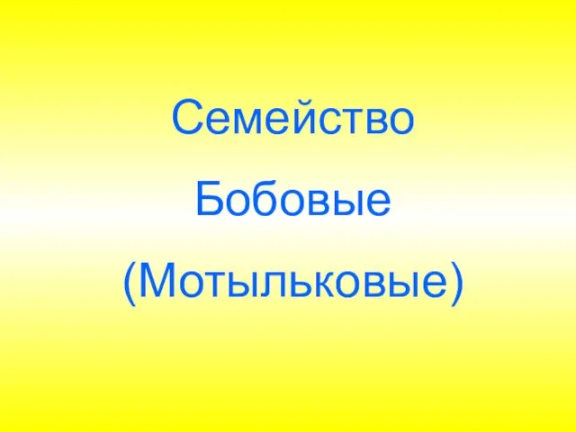 Семейство Бобовые (Мотыльковые)