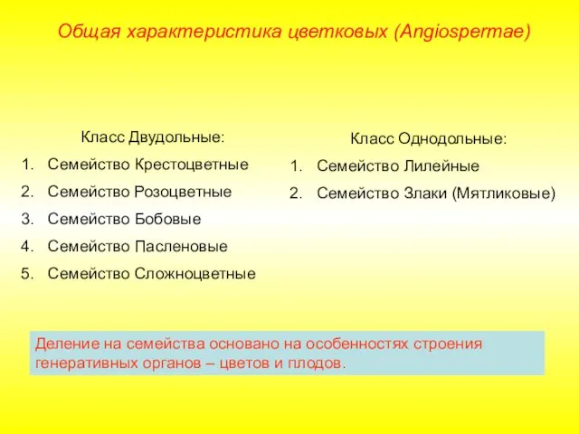 Класс Двудольные: Семейство Крестоцветные Семейство Розоцветные Семейство Бобовые Семейство Пасленовые