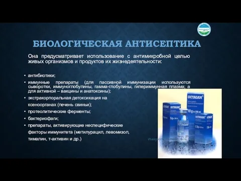 БИОЛОГИЧЕСКАЯ АНТИСЕПТИКА Она предусматривает использование с антимикробной целью живых организмов