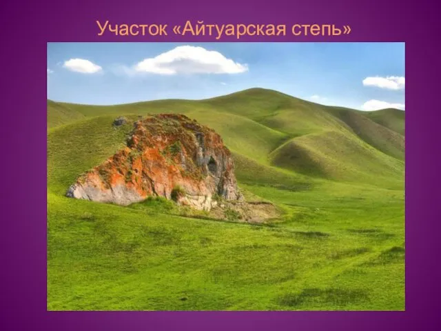 Участок «Айтуарская степь»