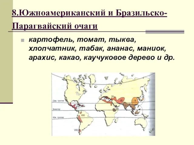 8.Южноамериканский и Бразильско-Парагвайский очаги картофель, томат, тыква, хлопчатник, табак, ананас,