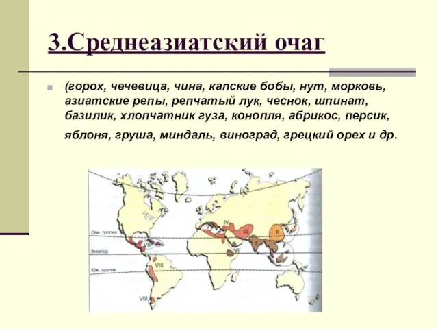 3.Среднеазиатский очаг (горох, чечевица, чина, капские бобы, нут, морковь, азиатские