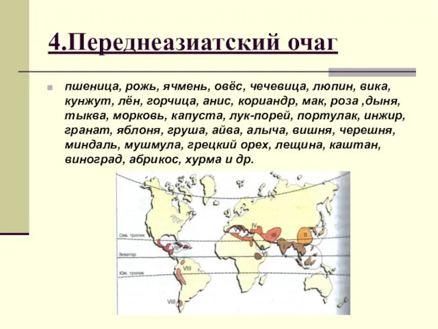 4.Переднеазиатский очаг пшеница, рожь, ячмень, овёс, чечевица, люпин, вика, кунжут,