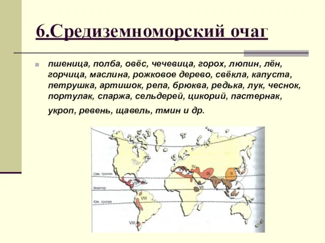 6.Средиземноморский очаг пшеница, полба, овёс, чечевица, горох, люпин, лён, горчица,