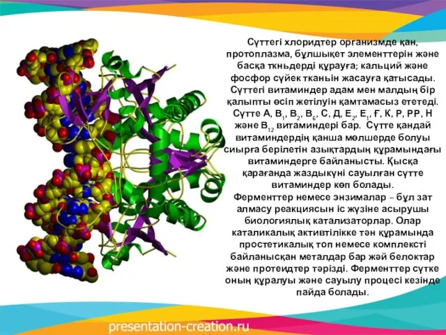 Сүттегі хлоридтер организмде қан, протоплазма, бұлшықет элементтерін және басқа ткньдерді