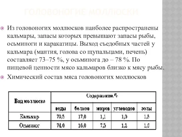 ГОЛОВОНОГИЕ МОЛЛЮСКИ Из головоногих моллюсков наиболее распространены кальмары, запасы которых