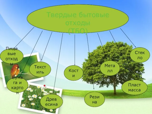 Твердые бытовые отходы (ТБО) Пищевые отходы Бумага и картон Текстиль Древесина Кости Резина Металл Стекло Пластмасса