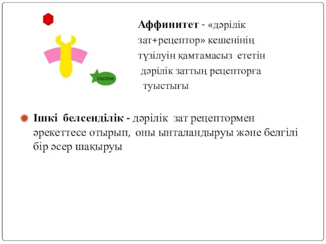 Аффинитет - «дәрілік зат+рецептор» кешенінің түзілуін қамтамасыз ететін дәрілік заттың