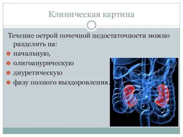 Клиническая картина Течение острой почечной недостаточности можно разделить на: начальную, олигоанурическую диуретическую фазу полного выздоровления.