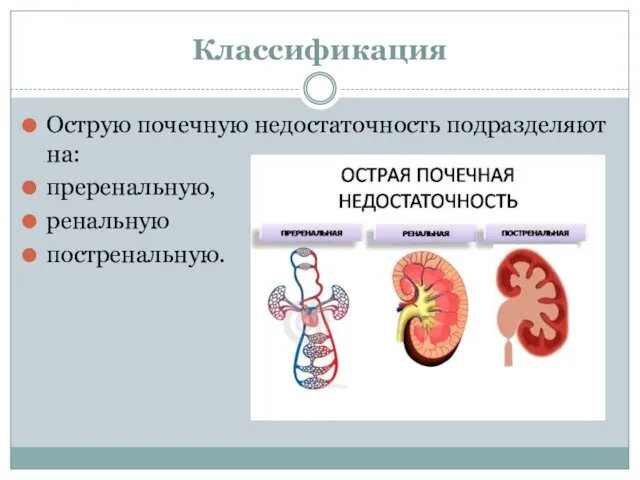 Классификация Острую почечную недостаточность подразделяют на: преренальную, ренальную постренальную.