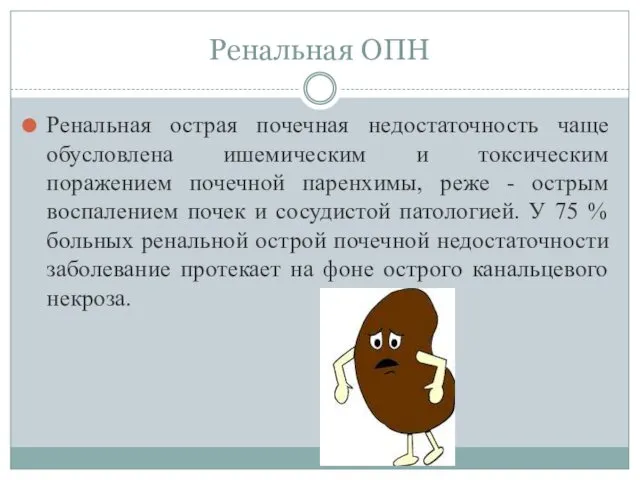 Ренальная ОПН Ренальная острая почечная недостаточность чаще обусловлена ишемическим и