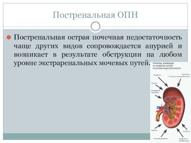 Постренальная ОПН Постренальная острая почечная недостаточность чаще других видов сопровождается