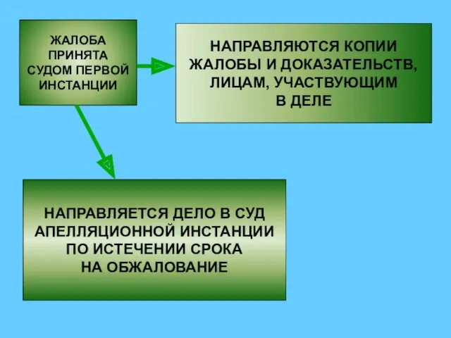 ЖАЛОБА ПРИНЯТА СУДОМ ПЕРВОЙ ИНСТАНЦИИ НАПРАВЛЯЮТСЯ КОПИИ ЖАЛОБЫ И ДОКАЗАТЕЛЬСТВ,