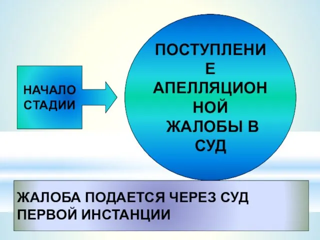 НАЧАЛО СТАДИИ ПОСТУПЛЕНИЕ АПЕЛЛЯЦИОННОЙ ЖАЛОБЫ В СУД ЖАЛОБА ПОДАЕТСЯ ЧЕРЕЗ СУД ПЕРВОЙ ИНСТАНЦИИ