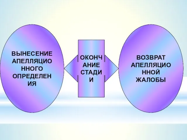 ОКОНЧАНИЕ СТАДИИ ВЫНЕСЕНИЕ АПЕЛЛЯЦИОННОГО ОПРЕДЕЛЕНИЯ ВОЗВРАТ АПЕЛЛЯЦИОННОЙ ЖАЛОБЫ