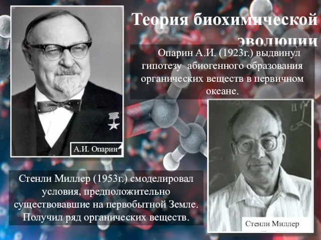 Теория биохимической эволюции Опарин А.И. (1923г.) выдвинул гипотезу абиогенного образования органических веществ в