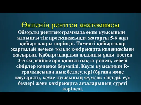 Өкпенің рентген анатомиясы Обзорлы рентгенограммада өкпе қуысының алдыңғы тік проекциясында