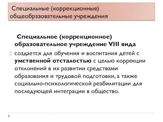 Специальные (коррекционные) общеобразовательные учреждения Специальное (коррекционное) образовательное учреждение VIII вида