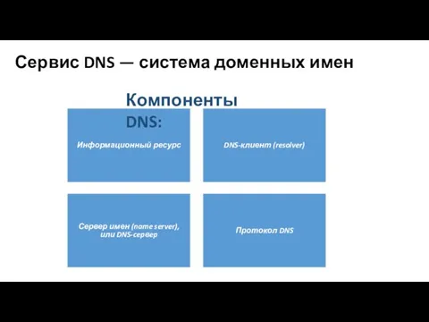 Сервис DNS — система доменных имен Информационный ресурс DNS-клиент (resolver)