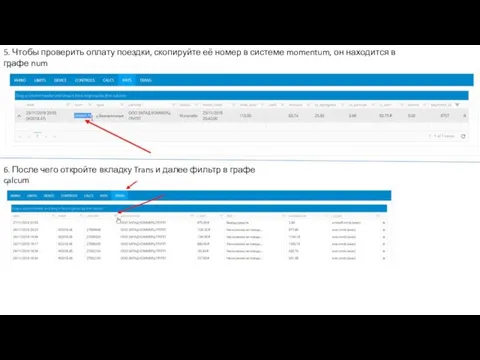 5. Чтобы проверить оплату поездки, скопируйте её номер в системе