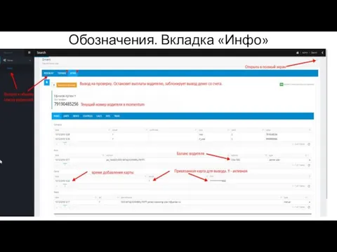 Обозначения. Вкладка «Инфо»