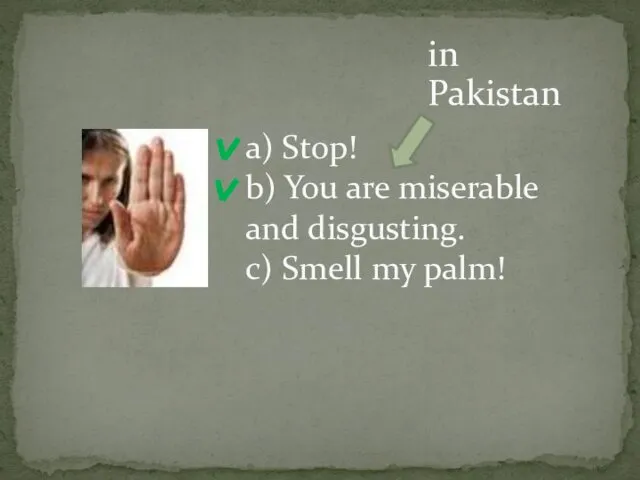a) Stop! b) You are miserable and disgusting. c) Smell my palm! in Pakistan