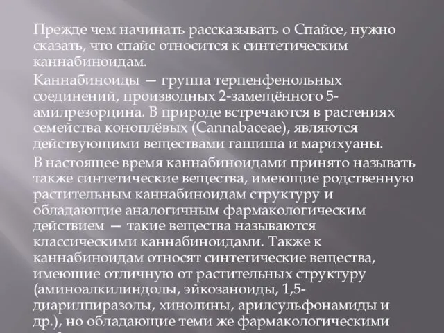 Прежде чем начинать рассказывать о Спайсе, нужно сказать, что спайс