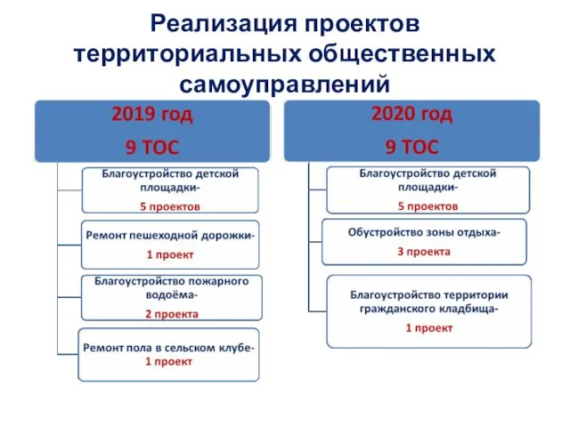 Реализация проектов территориальных общественных самоуправлений