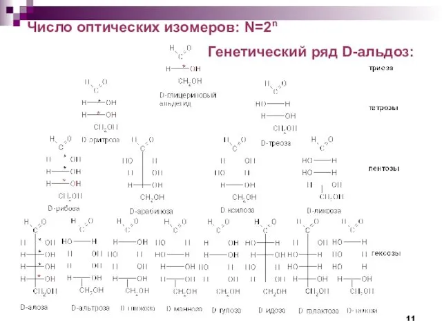 Генетический ряд D-альдоз: Число оптических изомеров: N=2n