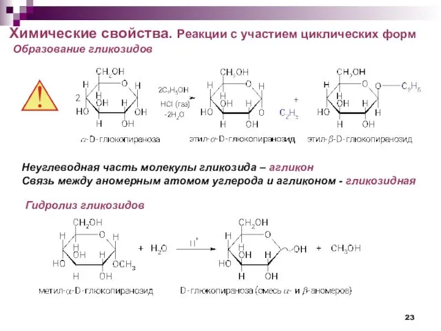 Химические свойства. Реакции с участием циклических форм Образование гликозидов Неуглеводная
